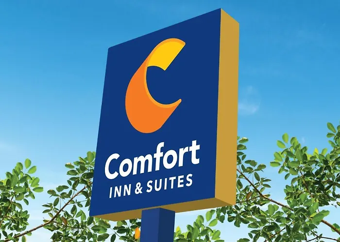 Airport Hotel: Comfort Inn & Suites Charlottesville Hollymead Town Center