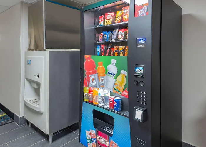 Airport Hotel: Super 8 By Wyndham Charlottesville